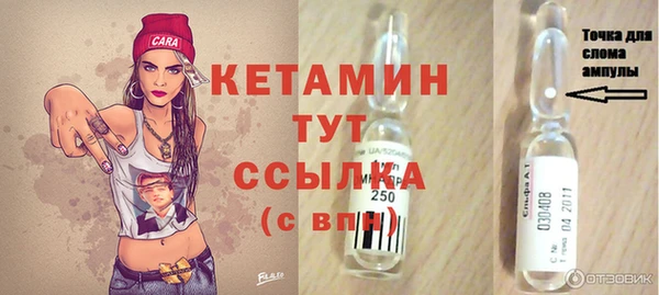 сатива Верея